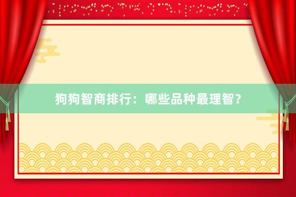 狗狗智商排行：哪些品种最理智？