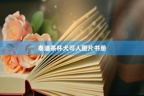 泰迪茶杯犬可人图片书册